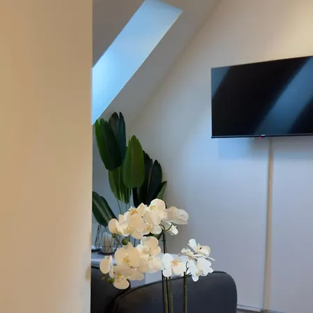 Aryve Boutique-apartments In Bester Lage In