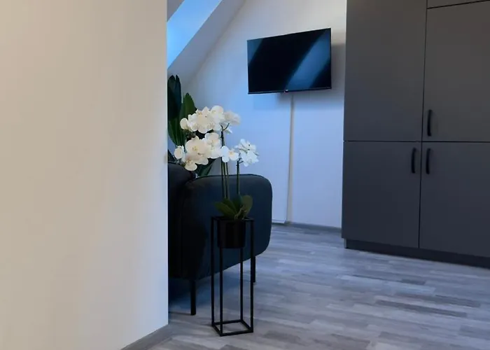 Apartman Aryve Boutique-apartments In Bester Lage In *